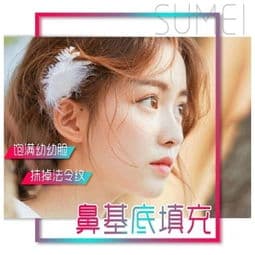 假体垫鼻基底
