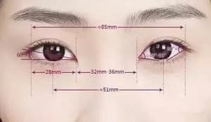 上眼睑提肌