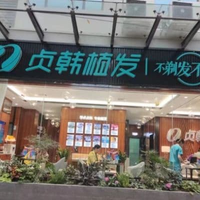 百色贞韩植发