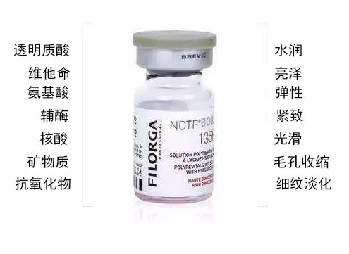 菲洛嘉